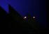 Les sept planches de la ruse © Mario Del Curto